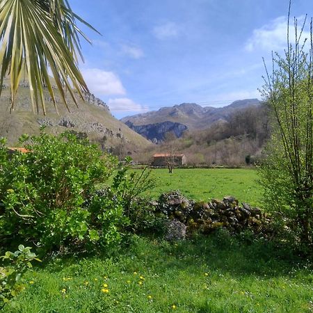 Amplia Y Comoda Casa De Piedra Con Porche Y Jardin Сан-Роке-де-Риомьера Экстерьер фото