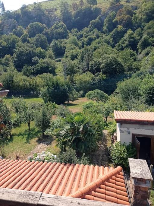 Amplia Y Comoda Casa De Piedra Con Porche Y Jardin Сан-Роке-де-Риомьера Экстерьер фото