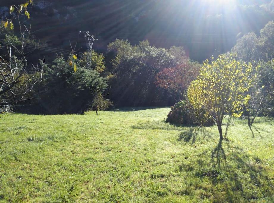 Amplia Y Comoda Casa De Piedra Con Porche Y Jardin Сан-Роке-де-Риомьера Экстерьер фото