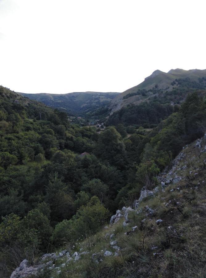 Amplia Y Comoda Casa De Piedra Con Porche Y Jardin Сан-Роке-де-Риомьера Экстерьер фото