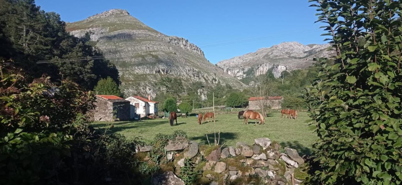 Amplia Y Comoda Casa De Piedra Con Porche Y Jardin Сан-Роке-де-Риомьера Экстерьер фото